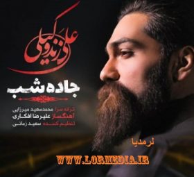 جاده شب علی زند وکیلی