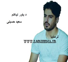 آهنگ د باور نیکنم سعید حسینی