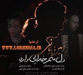 آهنگ دل منم خدایی داره امین بانی
