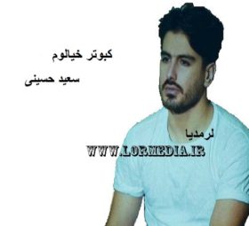 آهنگ کبوتر خیالوم سعید حسینی