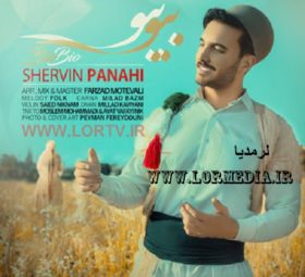 آهنگ بیو بیو شروین پناهی
