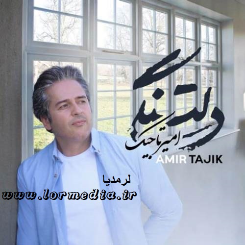 دانلود آهنگ امیر تاجیک به نام دلتنگی