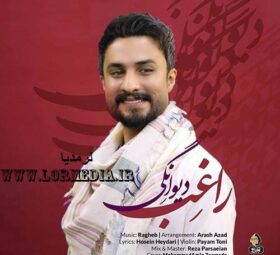 آهنگ دیوانگی راغب