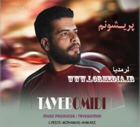 آهنگ پریشونم طیب امیدی