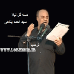 مداحی دسه گل لیلا حاج احمد پناهی