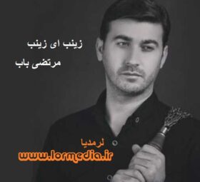 مداحی زینب ای زینب مرتضی باب