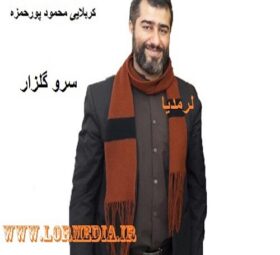 مداحی سرو گلزار کربلایی محمود پورحمزه