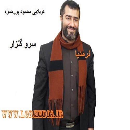 دانلود مداحی کربلایی محمود پورحمزه به نام سرو گلزار