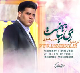 آهنگ زی بیا بینمت طیب امیدی
