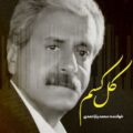 آهنگ کل کسم محمد یاراحمدی