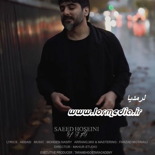 دانلود آهنگ سعید حسینی به نام افسوس سرد