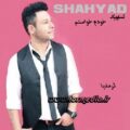 آهنگ خودم خواستم شهیاد