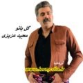 آهنگ گل بانو مجید عزیزی
